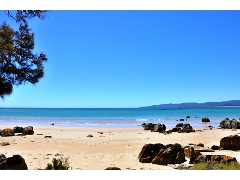 22 Chardonnay Drive, Hawley Beach TAS 7307