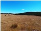 639 Bakers Beach Road, Bakers Beach TAS 7307