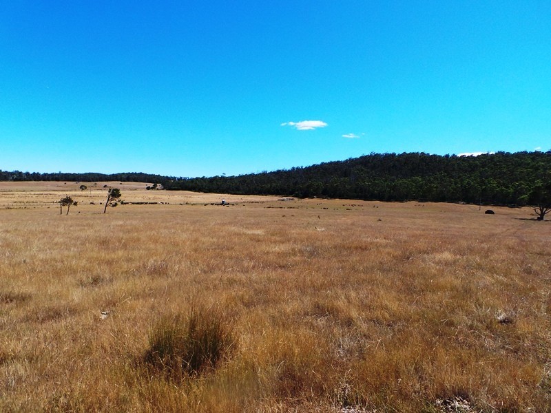 639 Bakers Beach Road, Bakers Beach TAS 7307