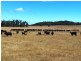 639 Bakers Beach Road, Bakers Beach TAS 7307