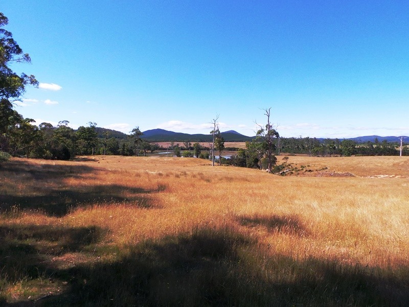 639 Bakers Beach Road, Bakers Beach TAS 7307