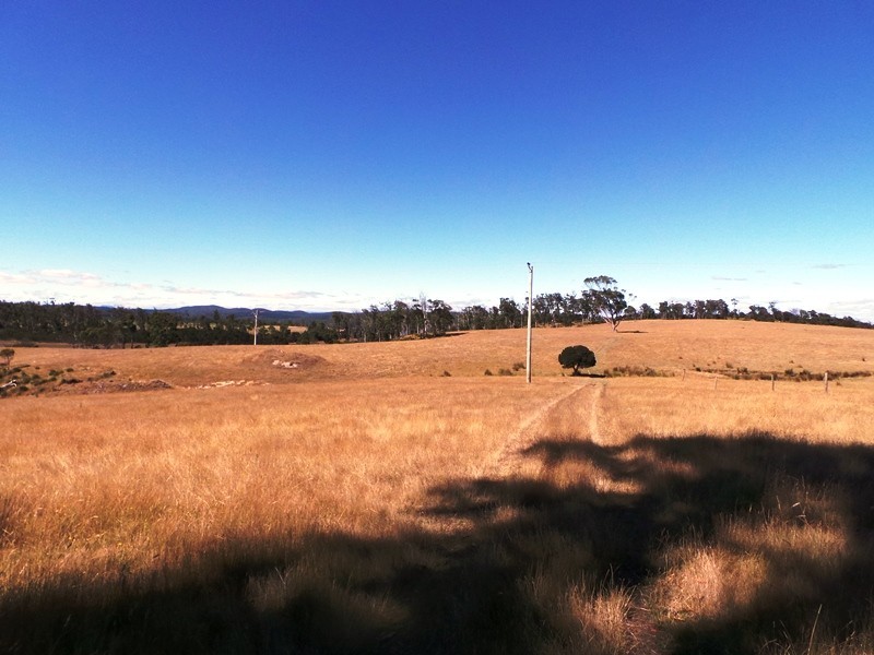 639 Bakers Beach Road, Bakers Beach TAS 7307