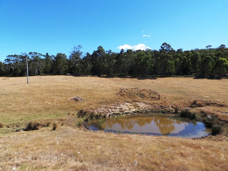 639 Bakers Beach Road, Bakers Beach TAS 7307