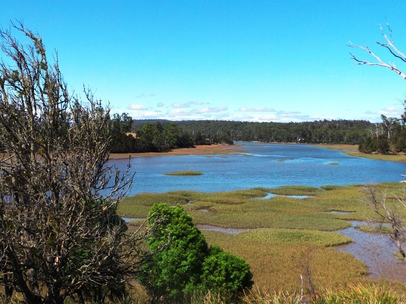 639 Bakers Beach Road, Bakers Beach TAS 7307