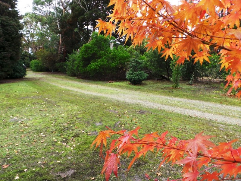 Bakers Beach TAS 7307