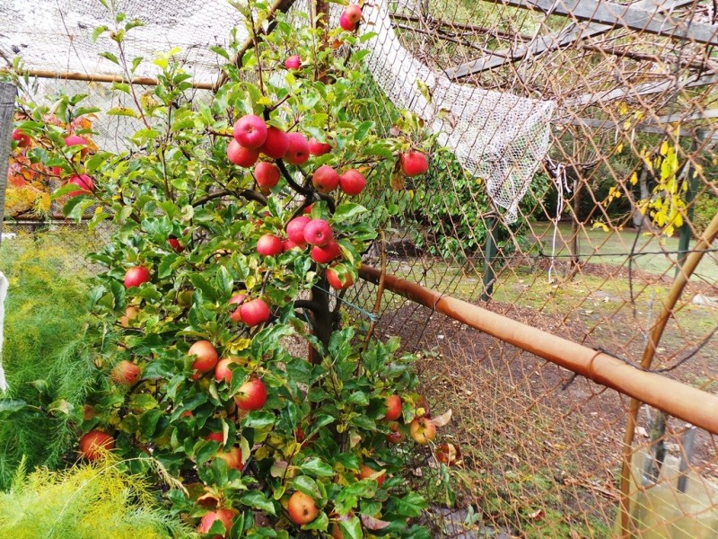 Bakers Beach TAS 7307