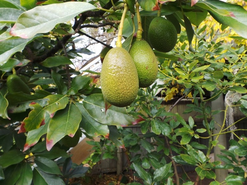 Bakers Beach TAS 7307