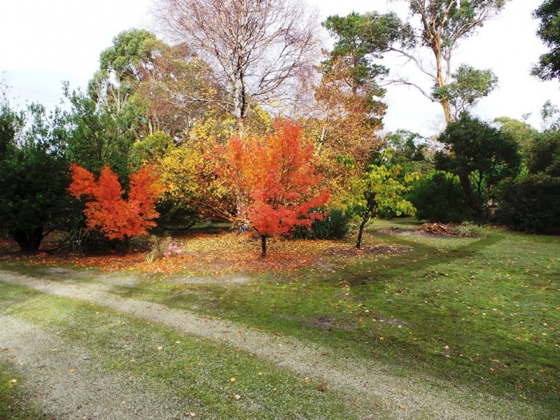 Bakers Beach TAS 7307