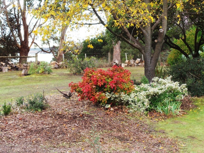 Bakers Beach TAS 7307