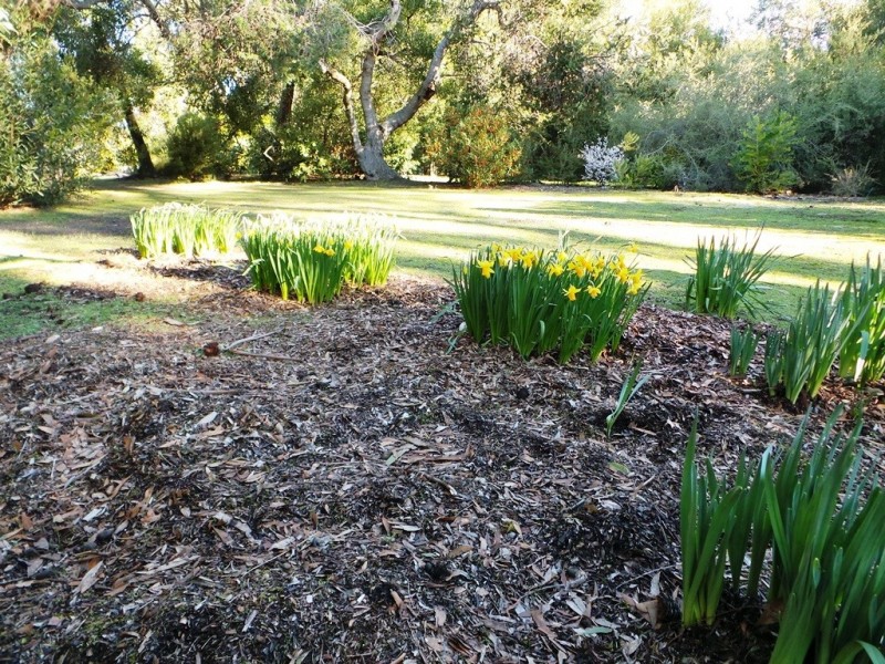 Bakers Beach TAS 7307