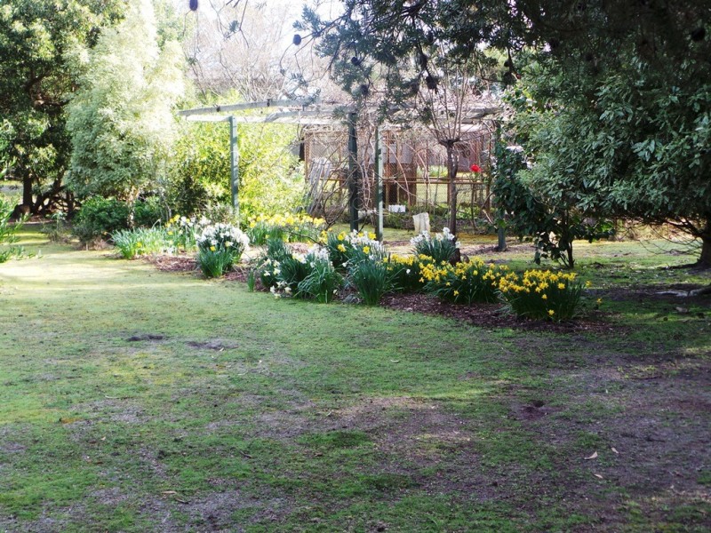 Bakers Beach TAS 7307