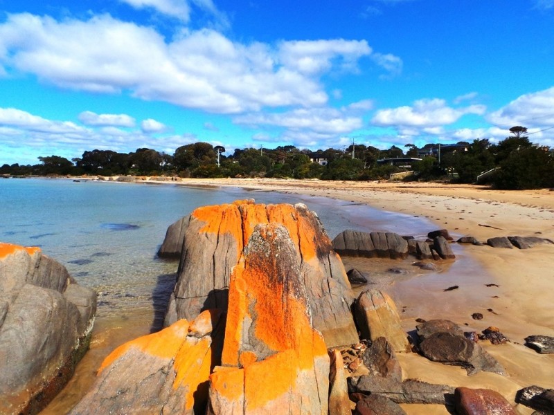 77 Joyce Street, Hawley Beach TAS 7307