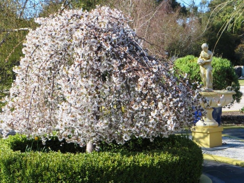 20 Bundarra Drive, Squeaking Point TAS 7307