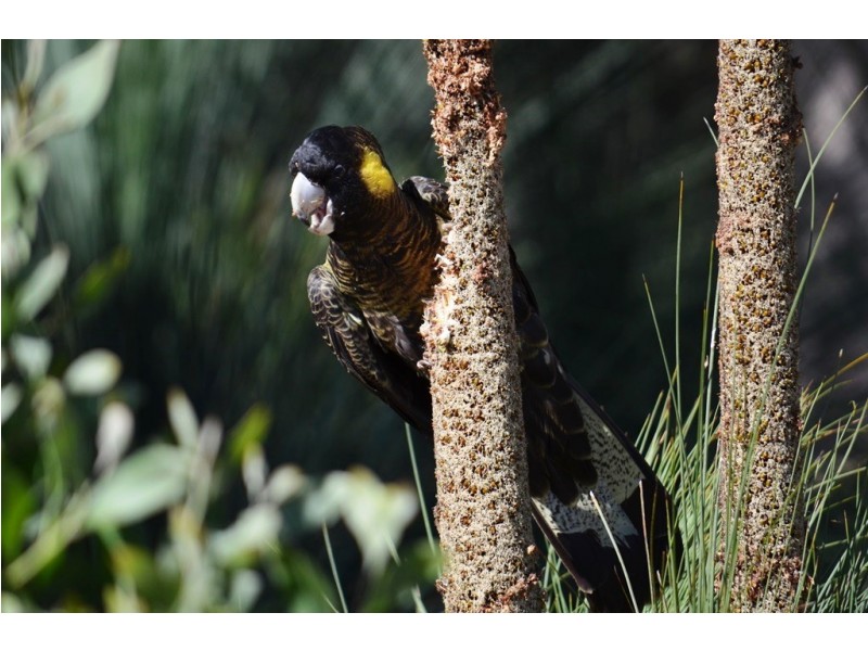 173 Marana Drive, Bakers Beach TAS 7307