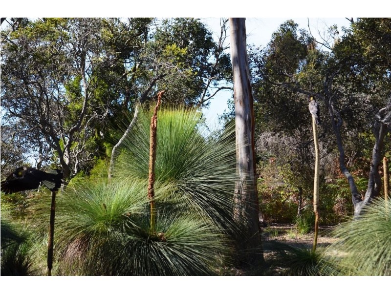 173 Marana Drive, Bakers Beach TAS 7307