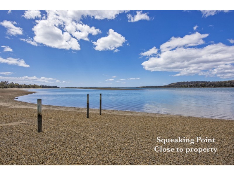 114 Charles Street, Squeaking Point TAS 7307