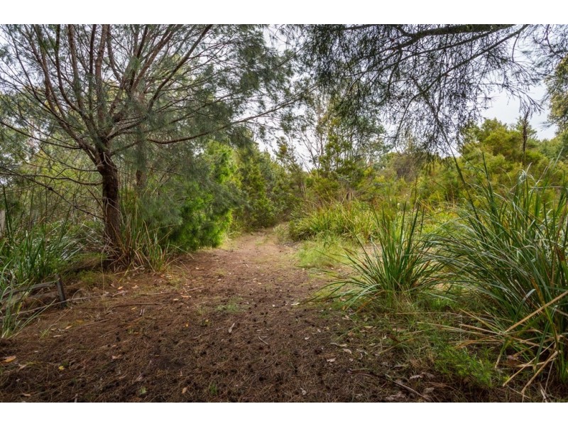 34 Springfield Park, Northdown TAS 7307
