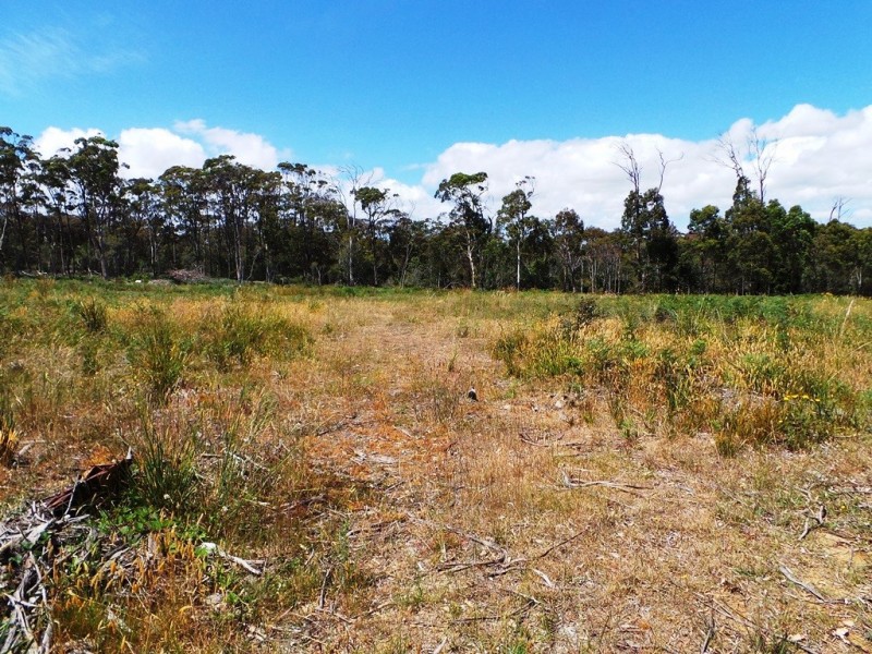 14 Rubicon Rise, Northdown TAS 7307