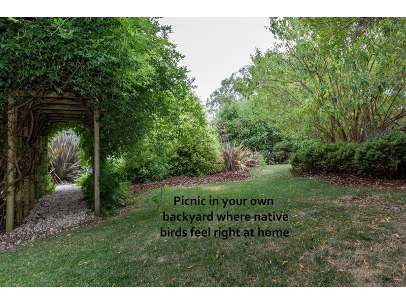 10 Lucinda Court, Latrobe TAS 7307
