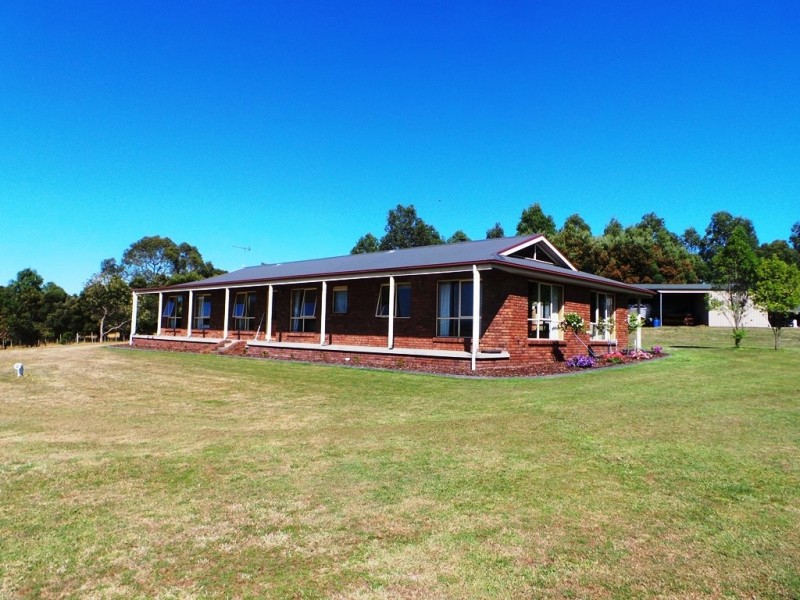 82 Annies Lane, Northdown TAS 7307