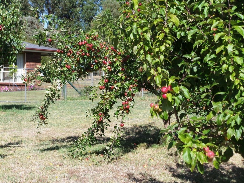 82 Annies Lane, Northdown TAS 7307