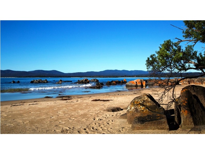 101 Joyce Street, Hawley Beach TAS 7307