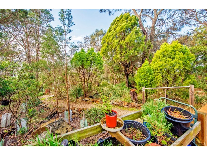 5 Correa Court, Hawley Beach TAS 7307