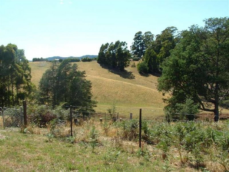 173 Nowhere Else Road, Nowhere Else TAS 7306