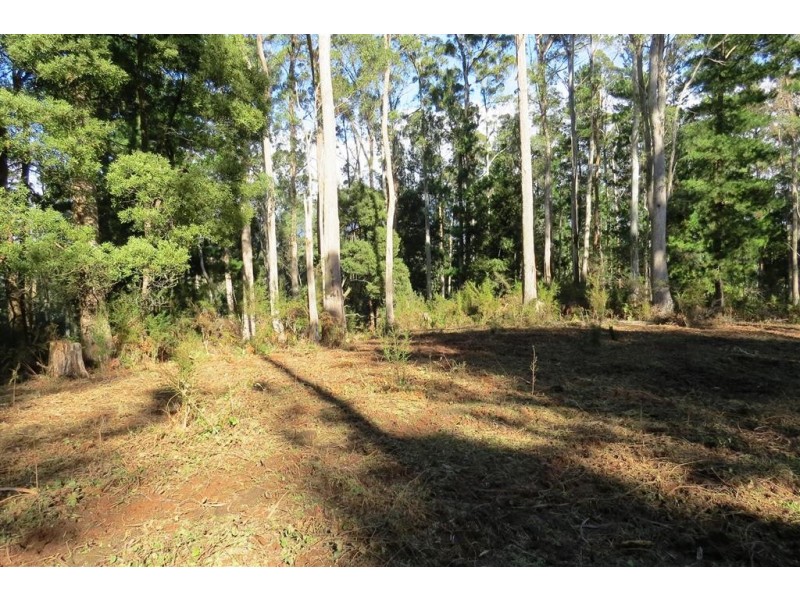 . Old Paradise Road, Sheffield TAS 7306