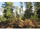 . Old Paradise Road, Sheffield TAS 7306