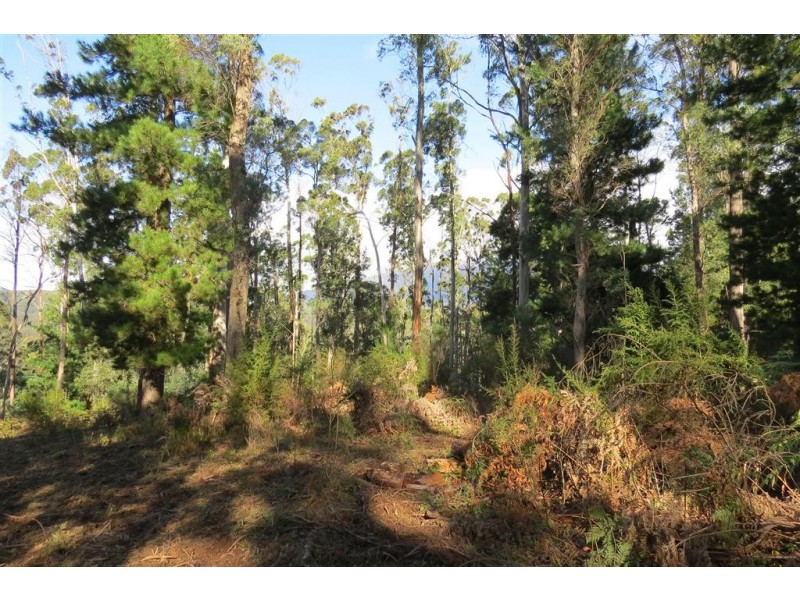 . Old Paradise Road, Sheffield TAS 7306