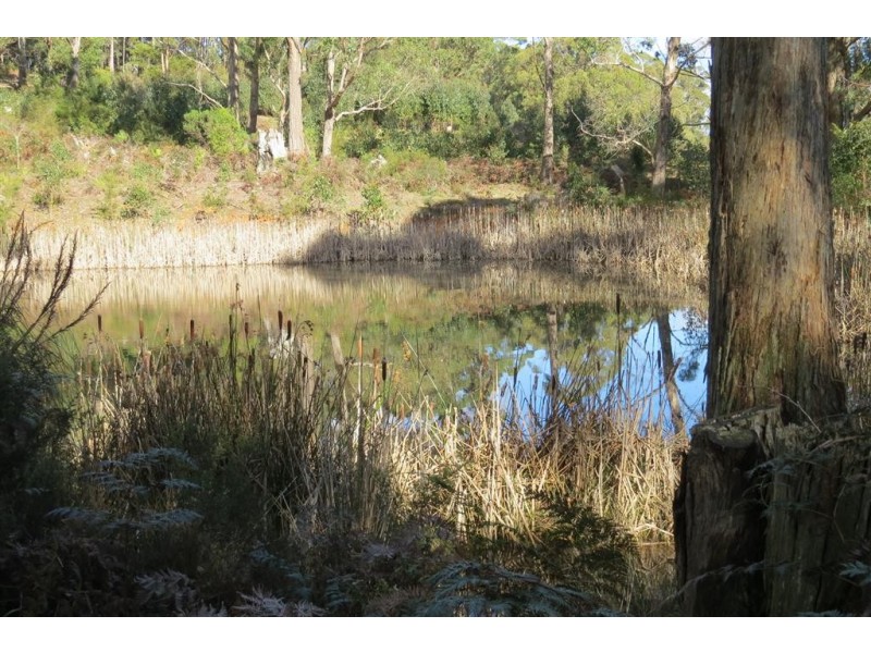 Lot 1 North Pole Road, Nook TAS 7306