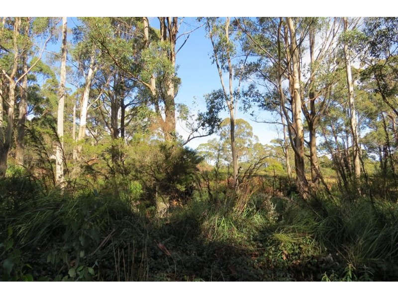 Lot 1 North Pole Road, Nook TAS 7306