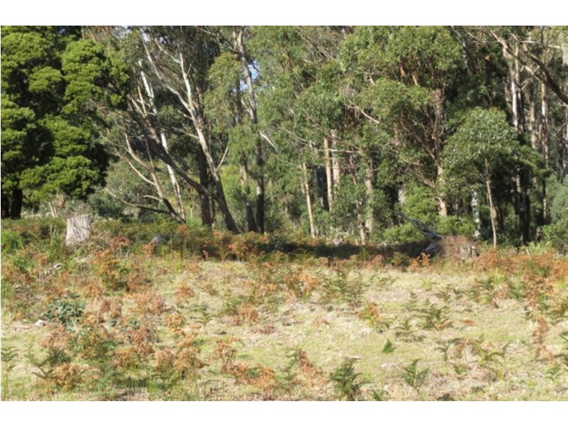 Lot 1 North Pole Road, Nook TAS 7306