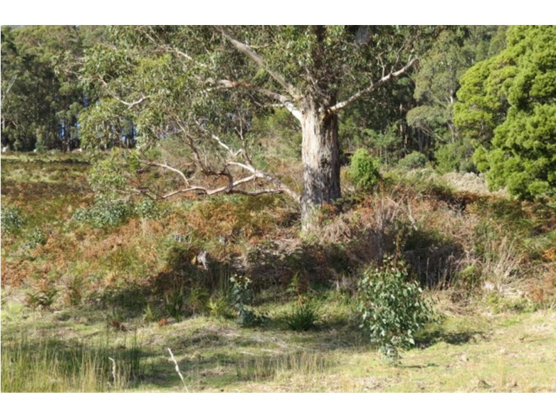 Lot 1 North Pole Road, Nook TAS 7306