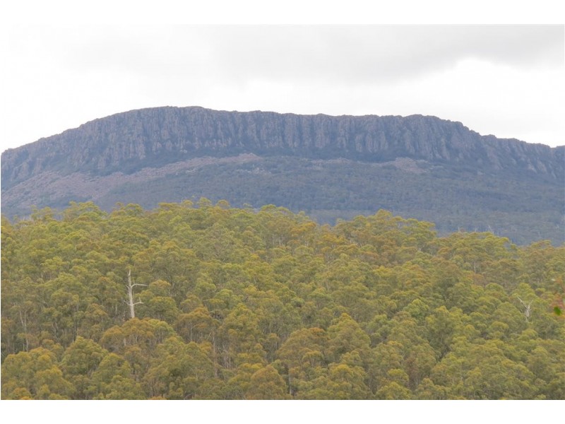 83 Tiers View Road, Golden Valley TAS 7304