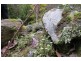 83 Tiers View Road, Golden Valley TAS 7304