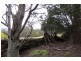 83 Tiers View Road, Golden Valley TAS 7304