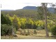 83 Tiers View Road, Golden Valley TAS 7304