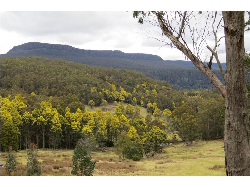 83 Tiers View Road, Golden Valley TAS 7304
