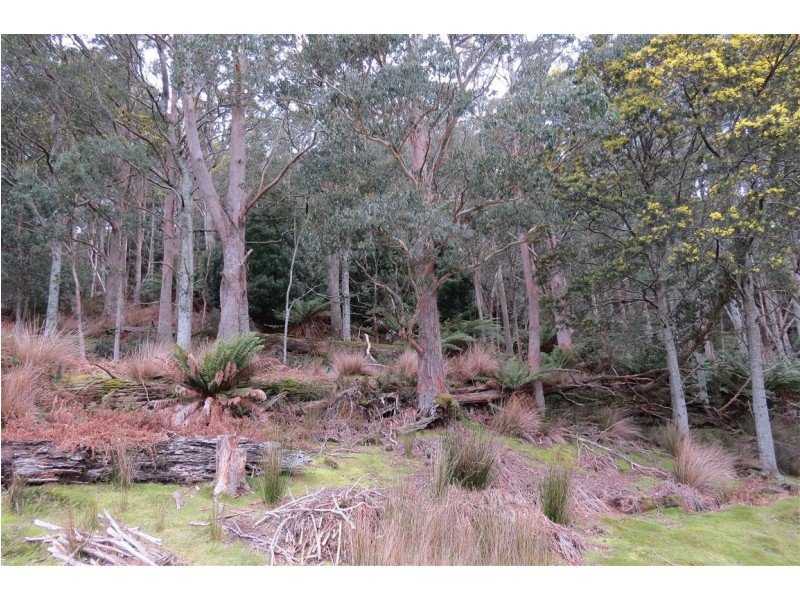 83 Tiers View Road, Golden Valley TAS 7304