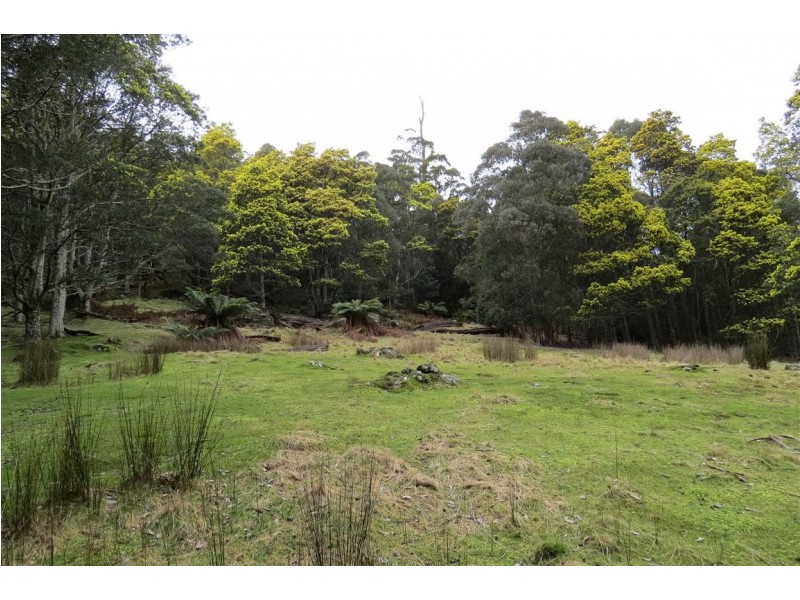 83 Tiers View Road, Golden Valley TAS 7304