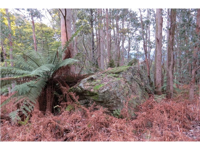 83 Tiers View Road, Golden Valley TAS 7304