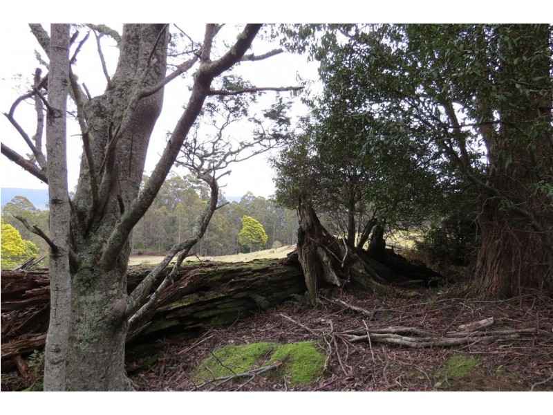 83 Tiers View Road, Golden Valley TAS 7304