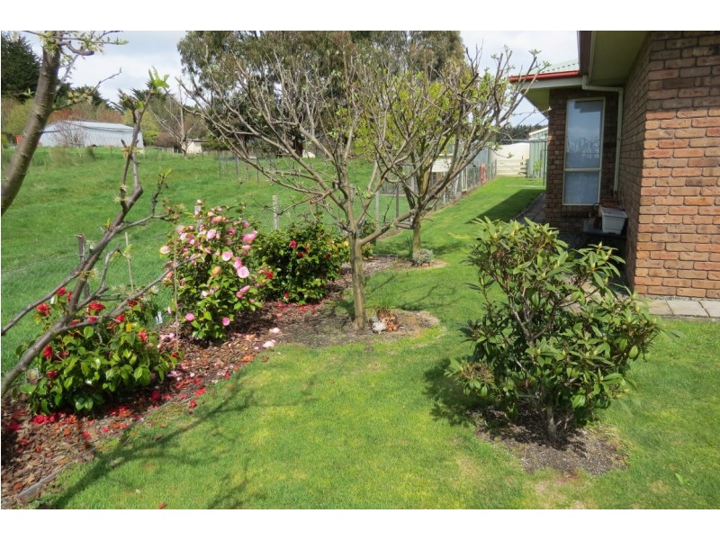 3 Adye Street, Roland TAS 7306