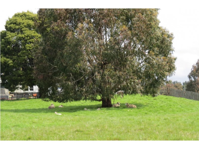 3 Adye Street, Roland TAS 7306