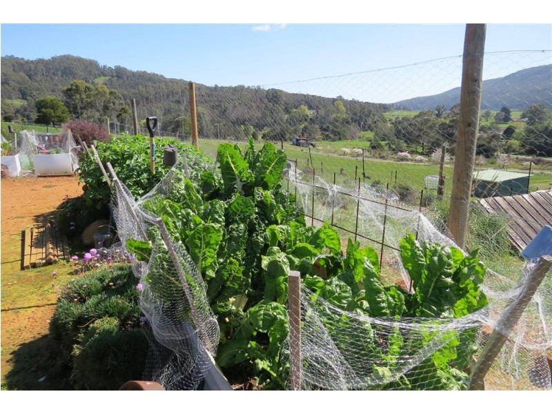 18 Weegena Road, Kimberley TAS 7304