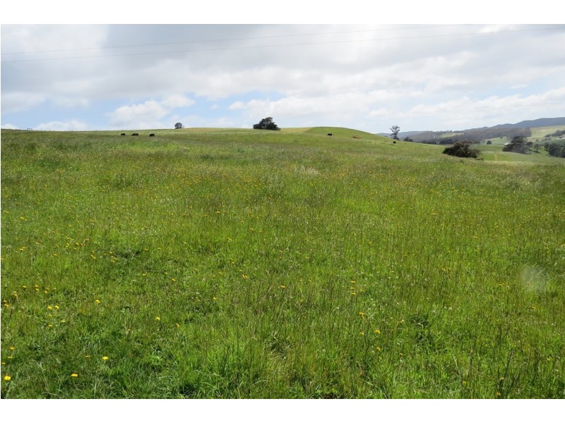 156 Cables Road, Sheffield TAS 7306