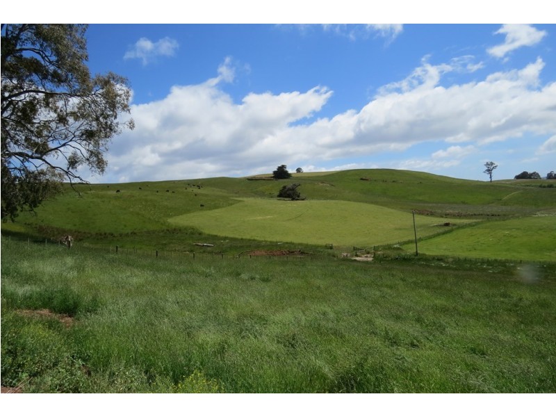 156 Cables Road, Sheffield TAS 7306
