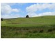 156 Cables Road, Sheffield TAS 7306